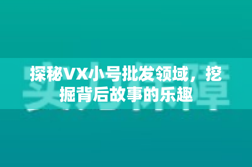 探秘VX小号批发领域，挖掘背后故事的乐趣