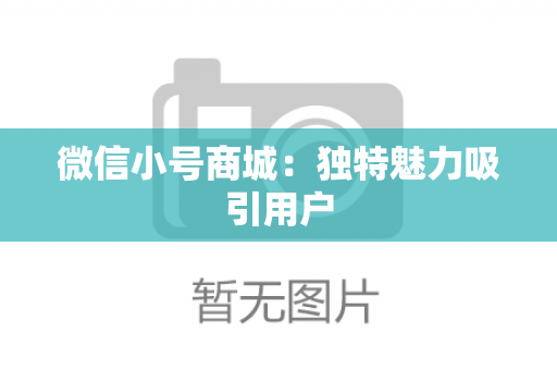 微信小号商城：独特魅力吸引用户