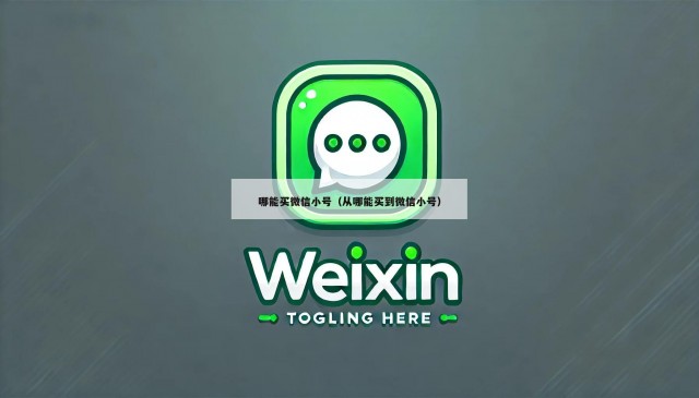 哪能买微信小号（从哪能买到微信小号）